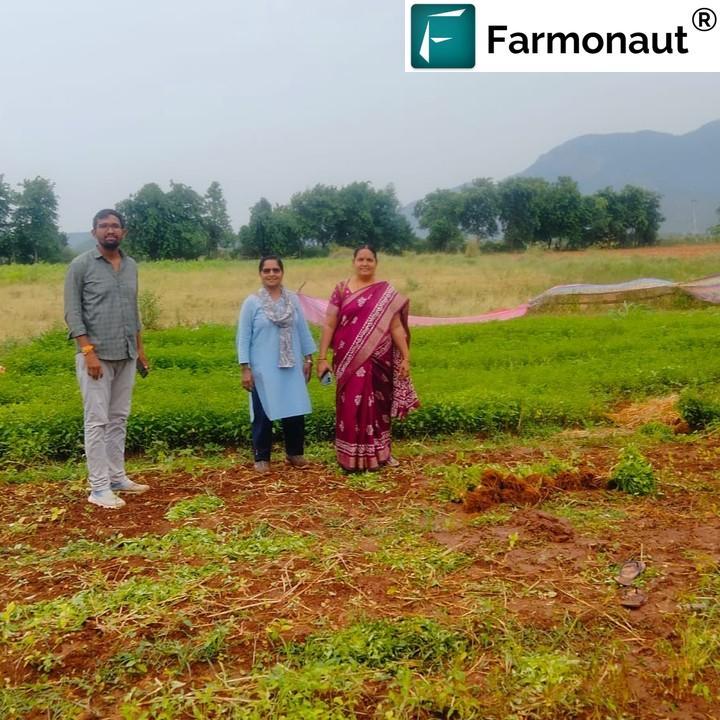 A Farmer’s Guide to Modern Banana Cultivation in Andhra